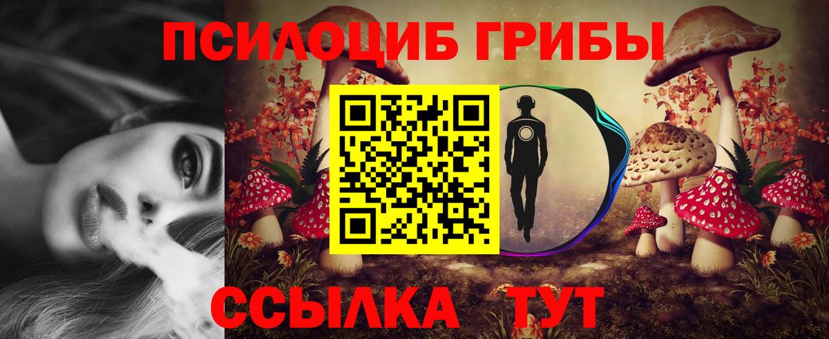 Боровичи  Псилоцибиновые грибы прущие грибы  Вход с VPN 